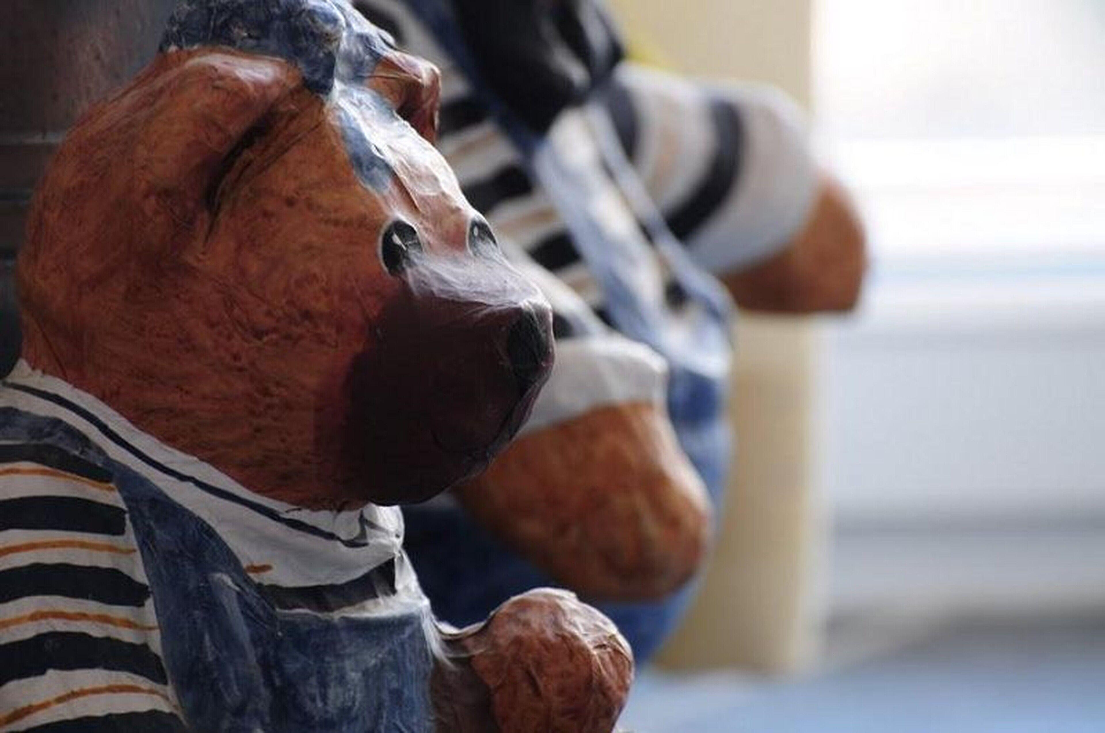 Hotel Residenz Seestern 3*